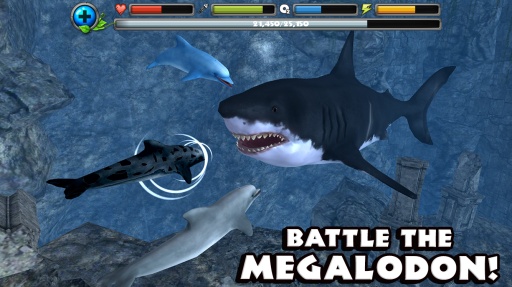 海豚模擬器(Dolphin Sim) v1 安卓版 4