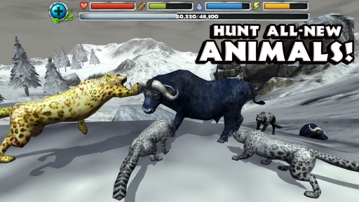 雪豹模擬器(Leopard Sim) v1.2 安卓版  0