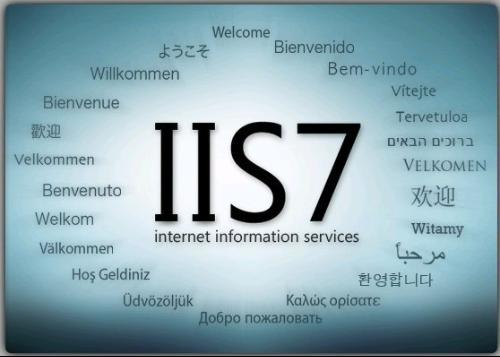 IIS 7.0(微軟Web服務(wù)器組件IIS 7.0)官方安裝版  0