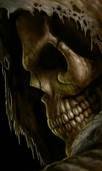 頭骨動(dòng)態(tài)壁紙(Skulls Live Wallpaper) v3.0 安卓版 1