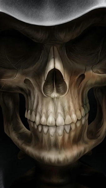 頭骨動(dòng)態(tài)壁紙(Skulls Live Wallpaper) v3.0 安卓版 3