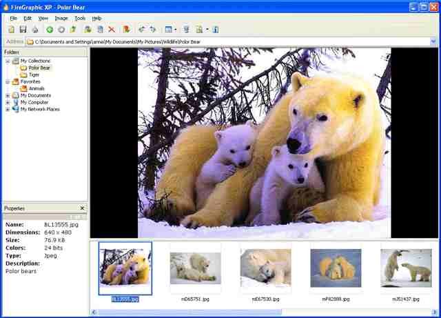 Firegraphic XP(數(shù)字圖像管理軟件) v11.0 免費(fèi)版 0