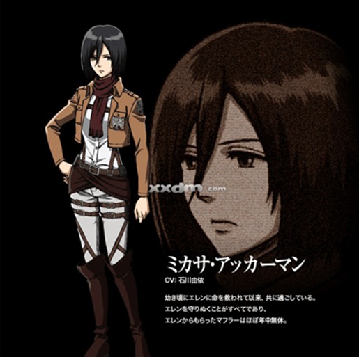 進擊的巨人手游電腦版 官方版_附游戲攻略 0