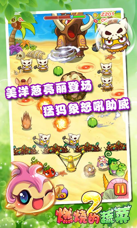 燃燒的蔬菜2