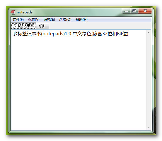 多標(biāo)簽記事本(notepads) v1.0 綠色中文版 1