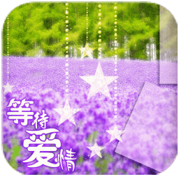 薰衣草等愛(ài)情鎖屏動(dòng)態(tài)壁紙