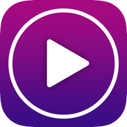 大華視頻播放器(Smart Player)
