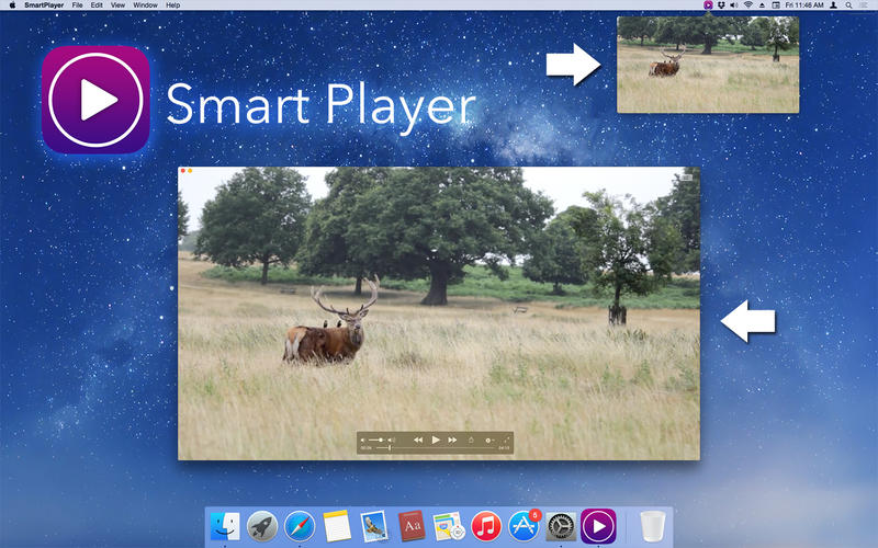 大華視頻播放器(Smart Player)0