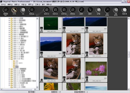 dpp軟件(Digital Photo Professional) v3.9 中文版 0