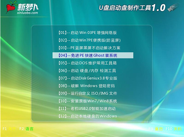 新蘿卜U盤啟動制作工具 v2.0.0.101 官方裝機維護版 0