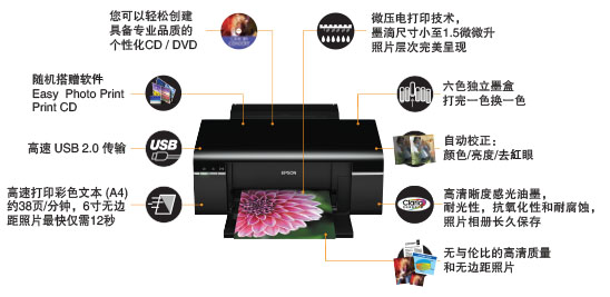 愛普生Epson Stylus Photo R330噴墨打印機(jī)驅(qū)動 v6.63 官方版 1