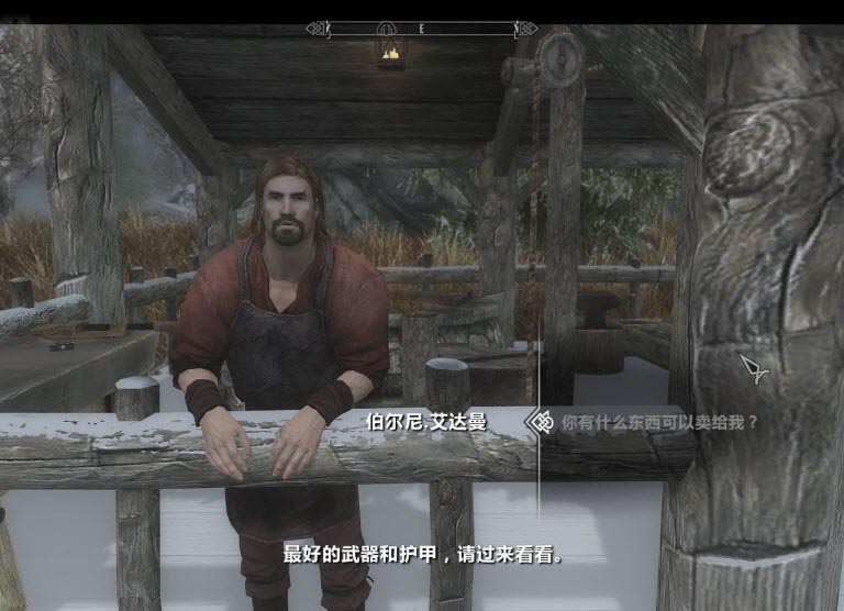 上古卷軸5主城鐵匠鋪補(bǔ)全MOD 綠色版 0
