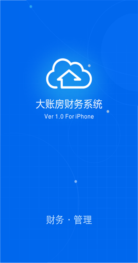 大賬房財務(wù)軟件 v4.2.6 安卓版 3