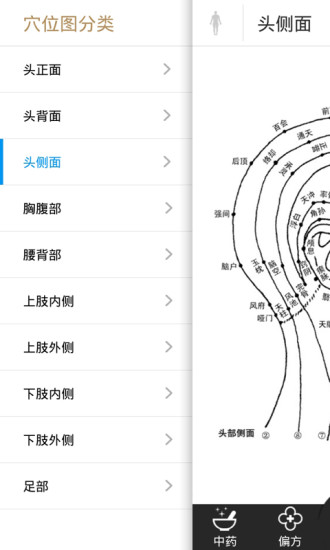 中草藥大全(中藥大全)1