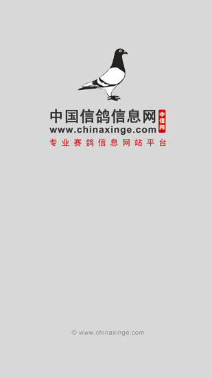 中國(guó)信鴿信息網(wǎng)0
