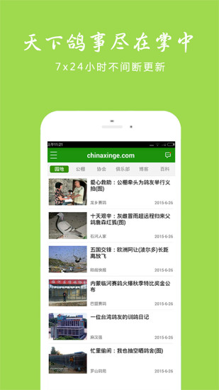 中國(guó)信鴿信息網(wǎng)1