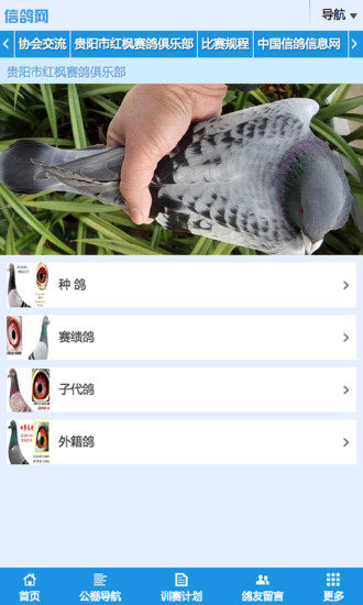 信鴿網(wǎng) v1.0 安卓版 3