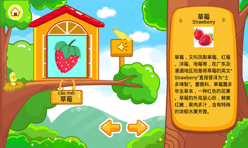 兒童寶寶認(rèn)水果0