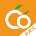 兩個(gè)橙子專家端