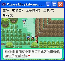 口袋妖怪罪惡的世界 v3.4 完美版 0