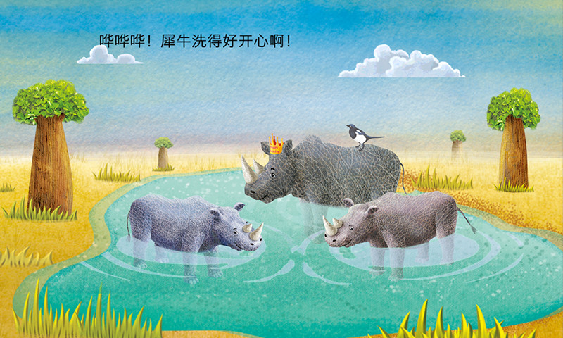 攝影師小象 v1.0 安卓版 2