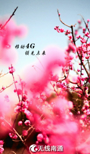 無線南通手機客戶端 v1.9.3 安卓版 0