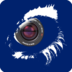 n eye監(jiān)控軟件
