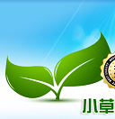 小草網(wǎng)管軟路由修改版