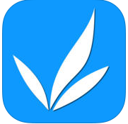 杉山盆底