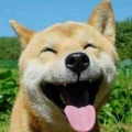 精美短文寶app