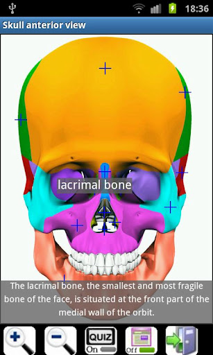 3d虛擬人體解剖(Visual Anatomy) v4.1 安卓已付費(fèi)完整版 0