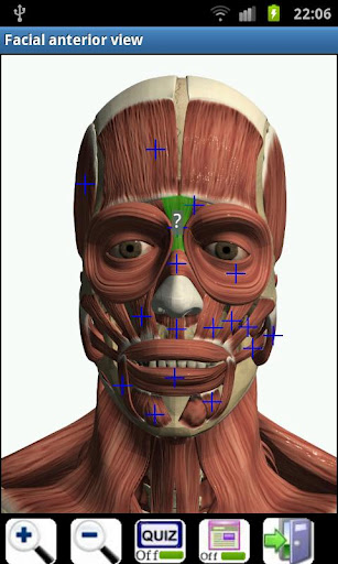 3d虛擬人體解剖(Visual Anatomy) v4.1 安卓已付費(fèi)完整版 1