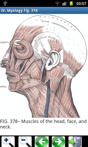 3d虛擬人體解剖(Visual Anatomy) v4.1 安卓已付費(fèi)完整版 3
