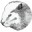 DBeaver(多數(shù)據(jù)庫(kù)管理工具)