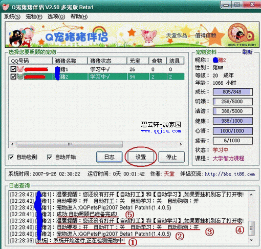 Q寵豬豬伴侶
