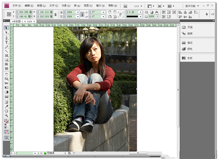 adobe indesign cs4完整版 6.0中文綠色精簡版 0
