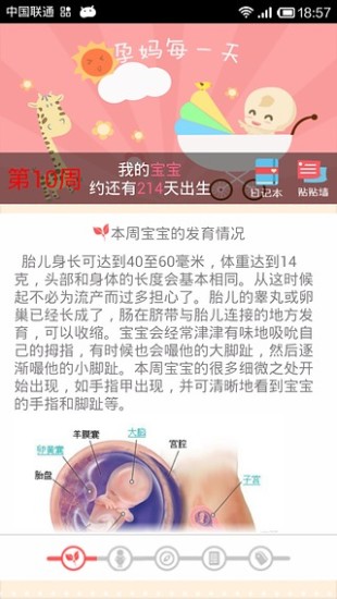 孕媽每一天 V3.1.1 安卓版 3