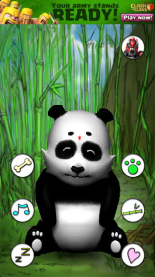 會(huì)說話的熊貓(Talking Panda Free) v1.8 安卓版 2