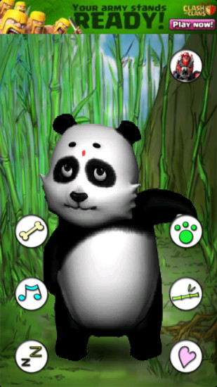 會(huì)說話的熊貓(Talking Panda Free) v1.8 安卓版 3