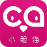 小臉貓