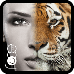 instaface變臉大咖app