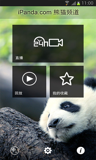 iPandaCam熊貓頻道1