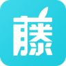 影藤iphone版