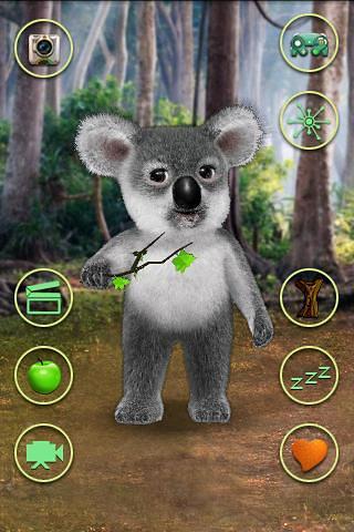 會說話的考拉(TalkingKoalaBear)1