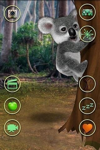 會說話的考拉(TalkingKoalaBear)2