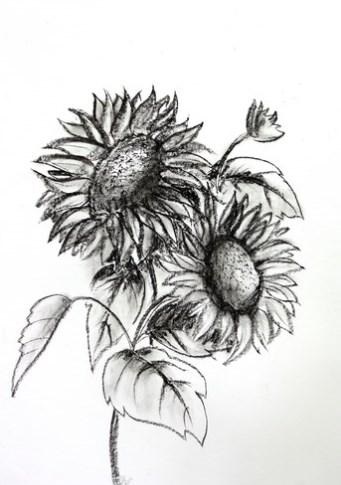 畫鉛筆素描手機版(Pencil Sketch Drawing)0