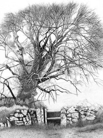 畫鉛筆素描手機版(Pencil Sketch Drawing)2