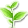 本草綱目(中醫(yī)藥物寶典)