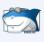 shark007 codecs win8解碼器