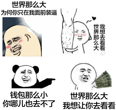 世界那么大搞笑表情包  0